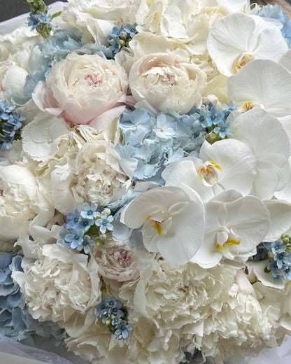 White x Blue Cloud XXL