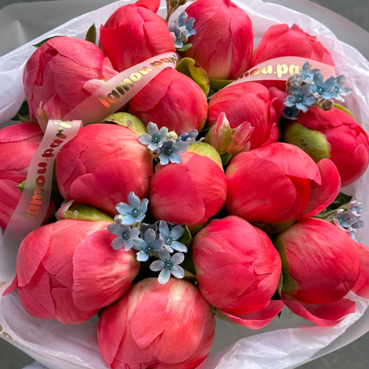 15 Coral Peonies x Oxypetalum