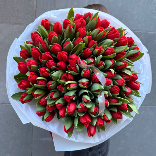 100 Red Tulips
