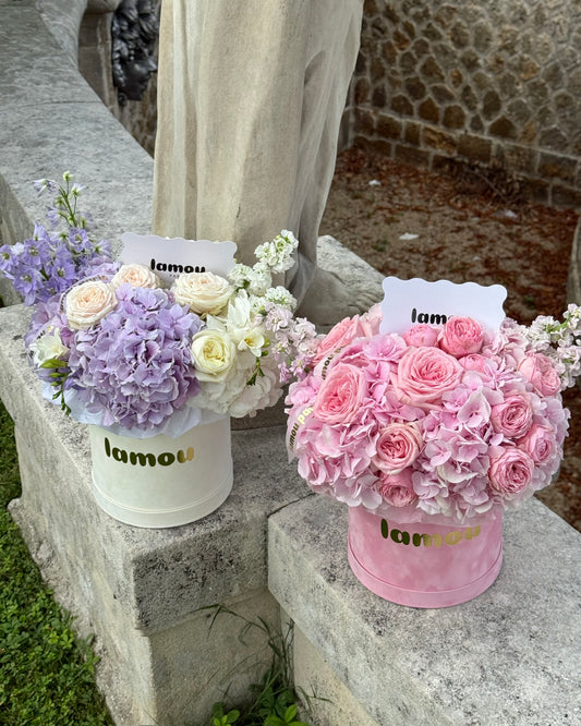 Hortensias x Roses dans une boîte S