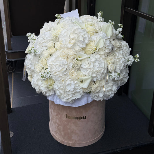 White Elegance in a Velvet Box XL