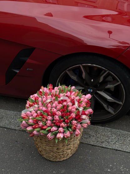 200 tulipes rouges et roses dans un panier