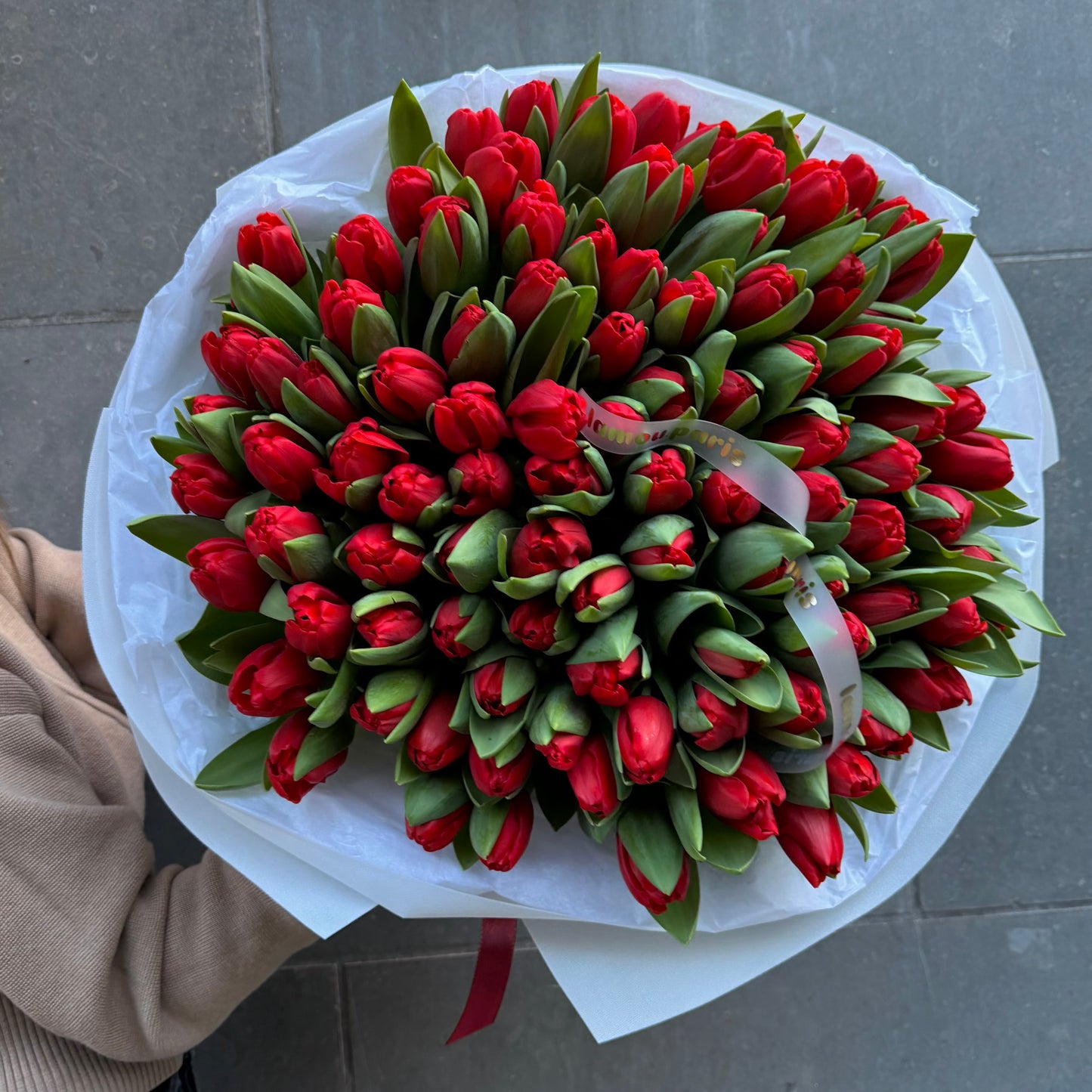 100 tulipes rouges