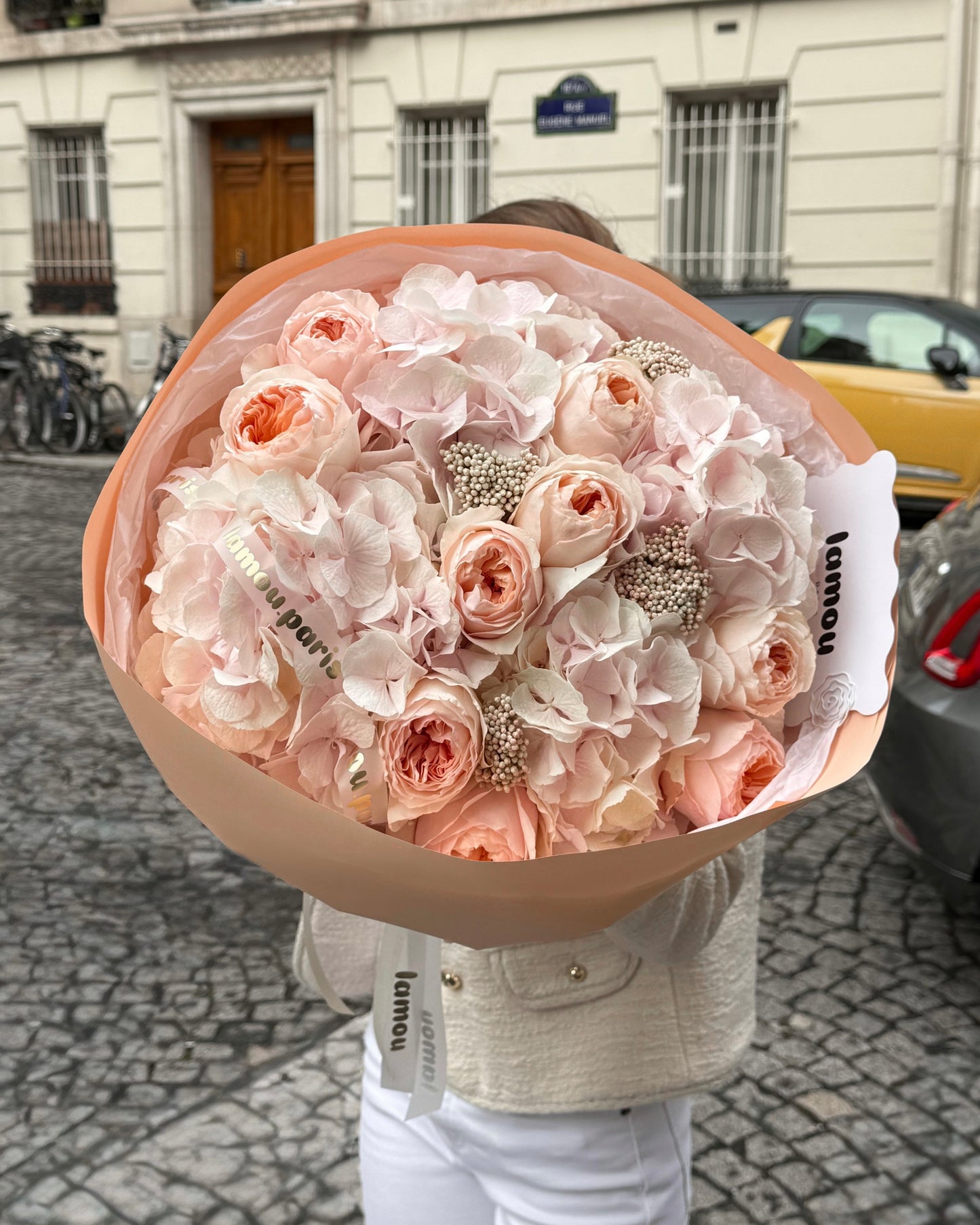 Blush Hydrangeas x Juliet