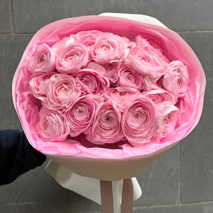 25 Pink Ranunculuses