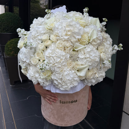 White Elegance in a Velvet Box XL