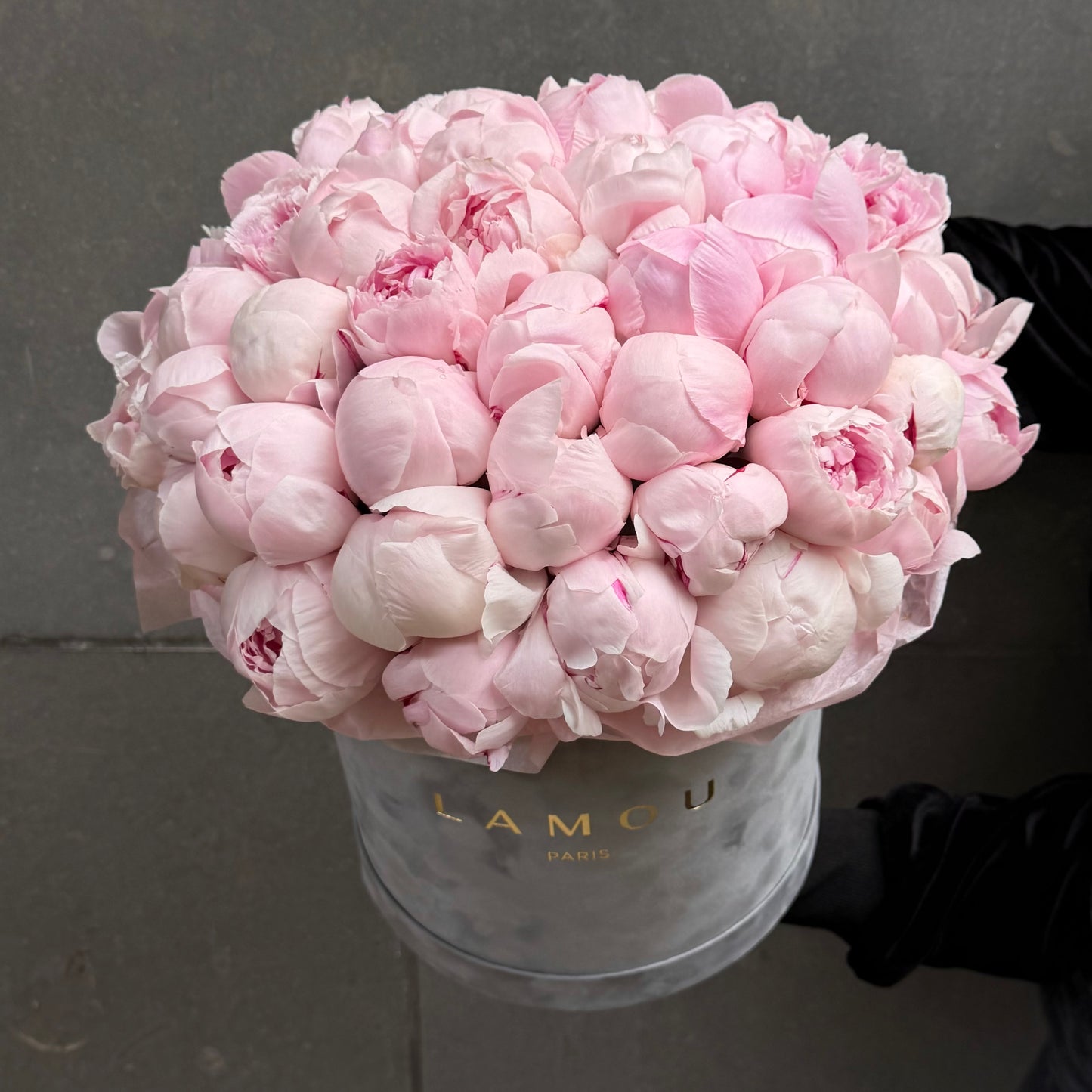 51 Pink Peonies Box L