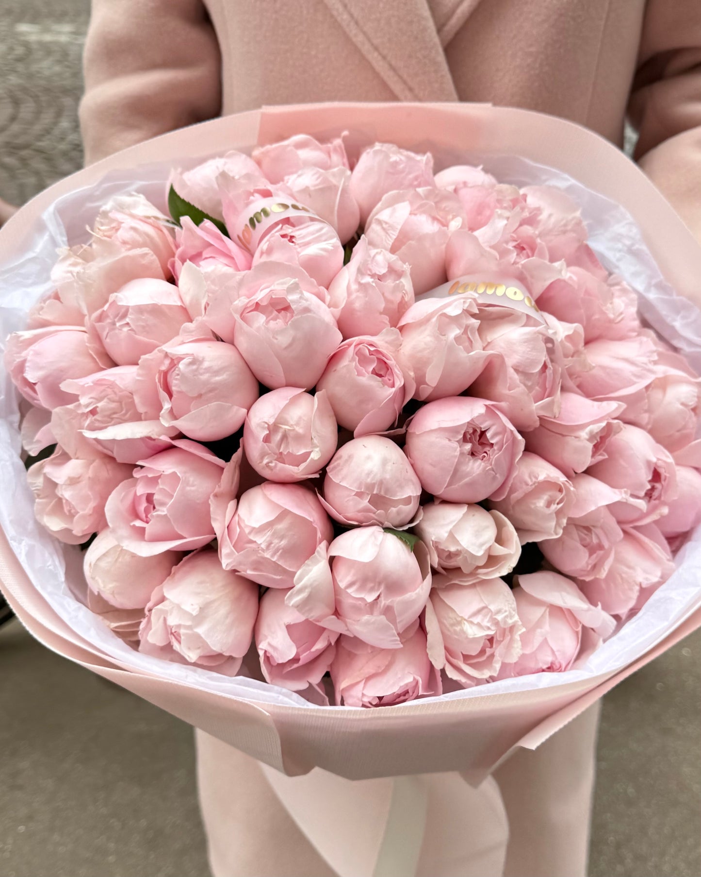 Roses Peony Pink