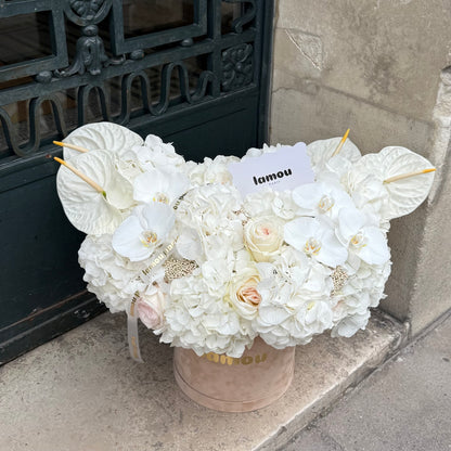 White Elegance in a Box L