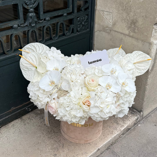 White Elegance in a Box L