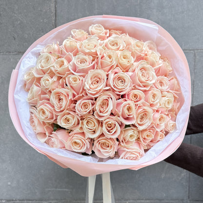 51 Blush Roses