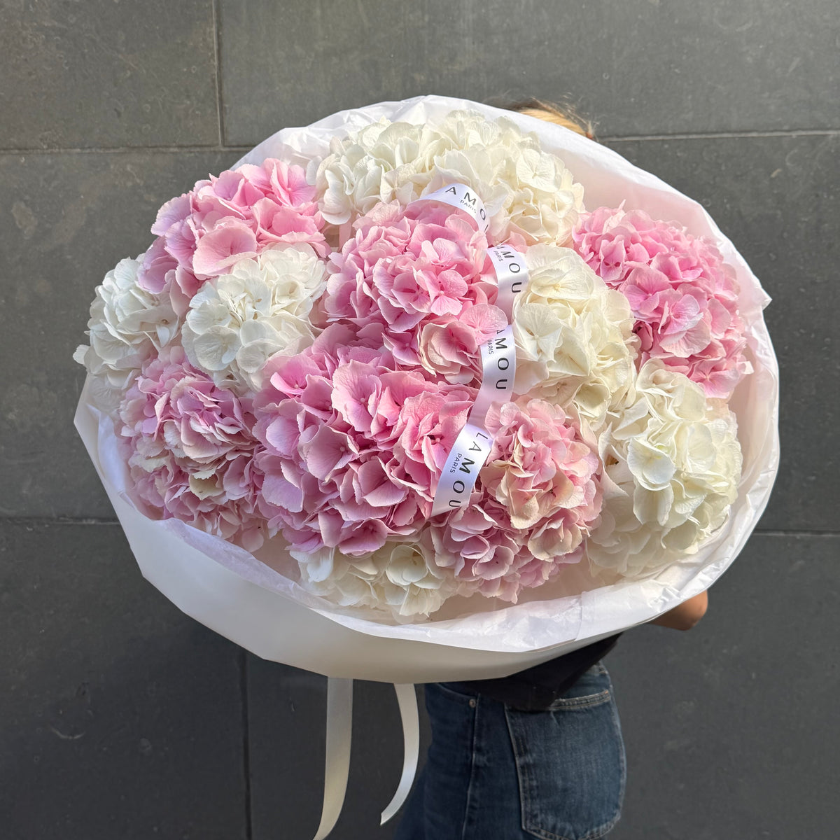 Hydrangeas M