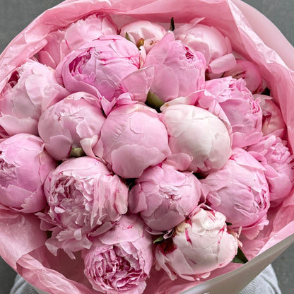 17 Pink Peonies