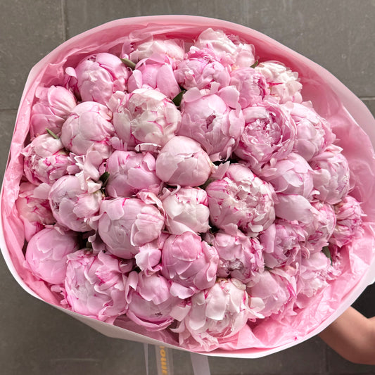 51 Pink Peonies