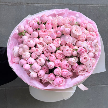 31 Roses en spray Mansfield Park