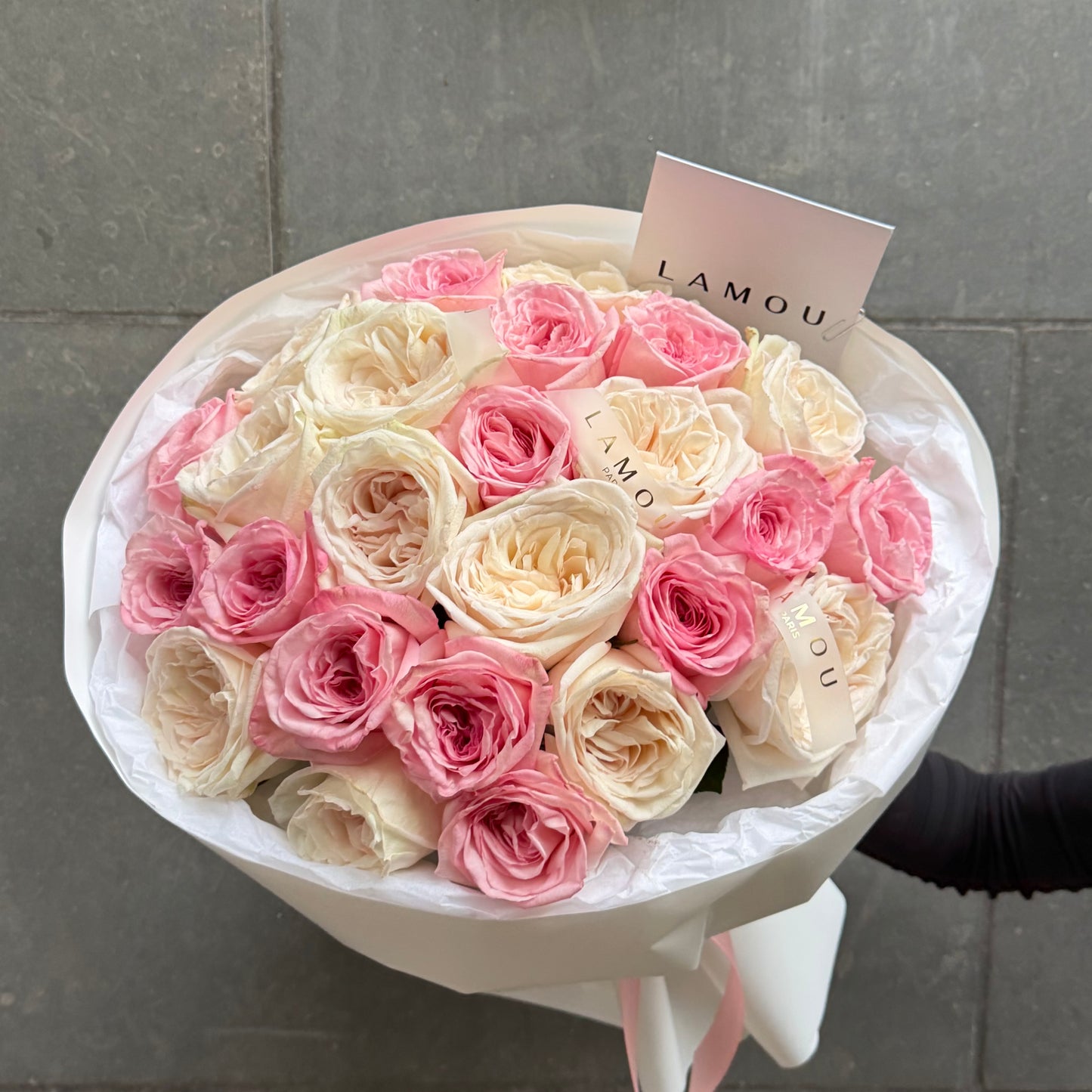 25 Pink & White Peony Roses