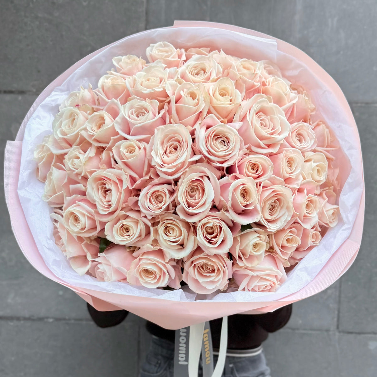 51 Blush Roses