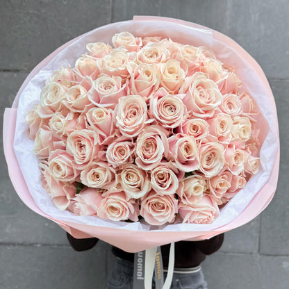 51 Blush Roses