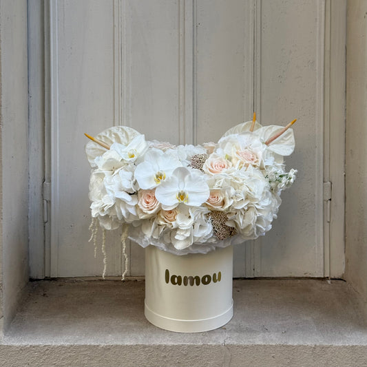 White Elegance in a Box M