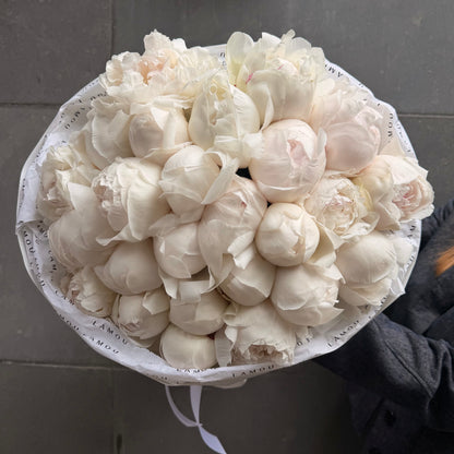 25 pivoines blanches