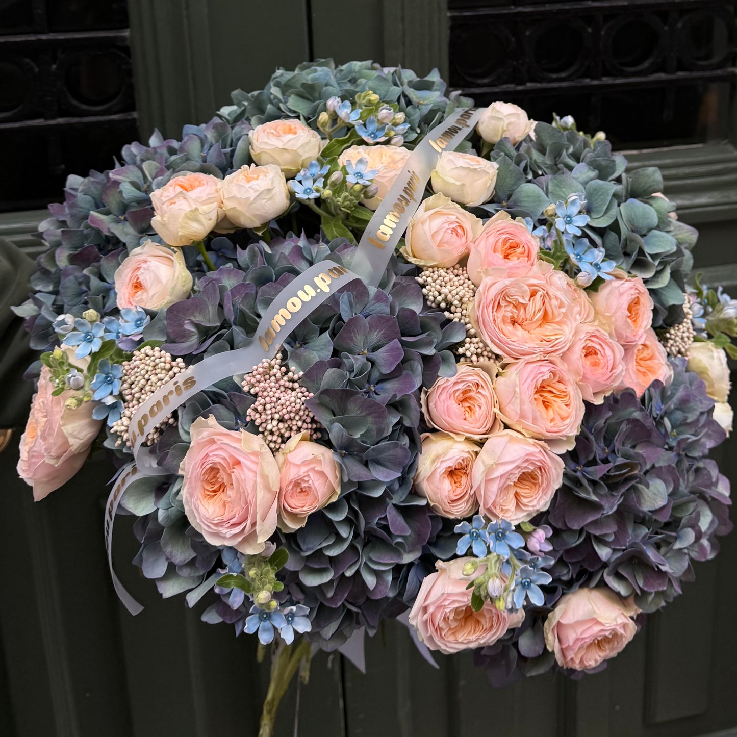 Peachy x Hydrangea ‘Pimpernel’