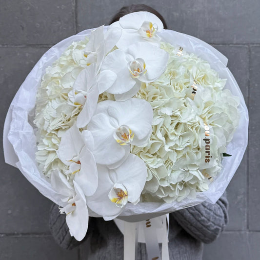 Nuage d’Orchidée Blanc S