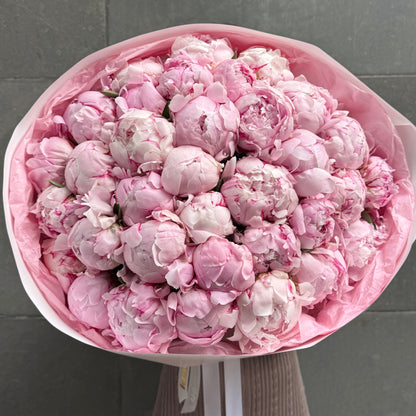 51 pivoines roses