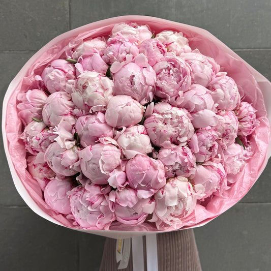 51 Pink Peonies