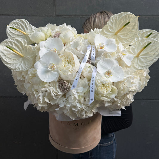 White Elegance Box L