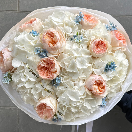 White Hydrangeas x Juliet L