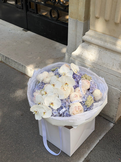 Lilas Rêverie L