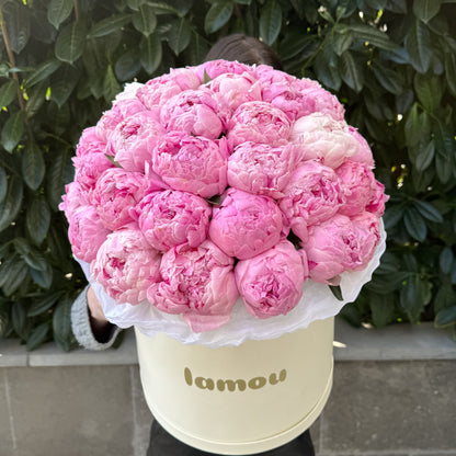 Pink Peonies in a Box L