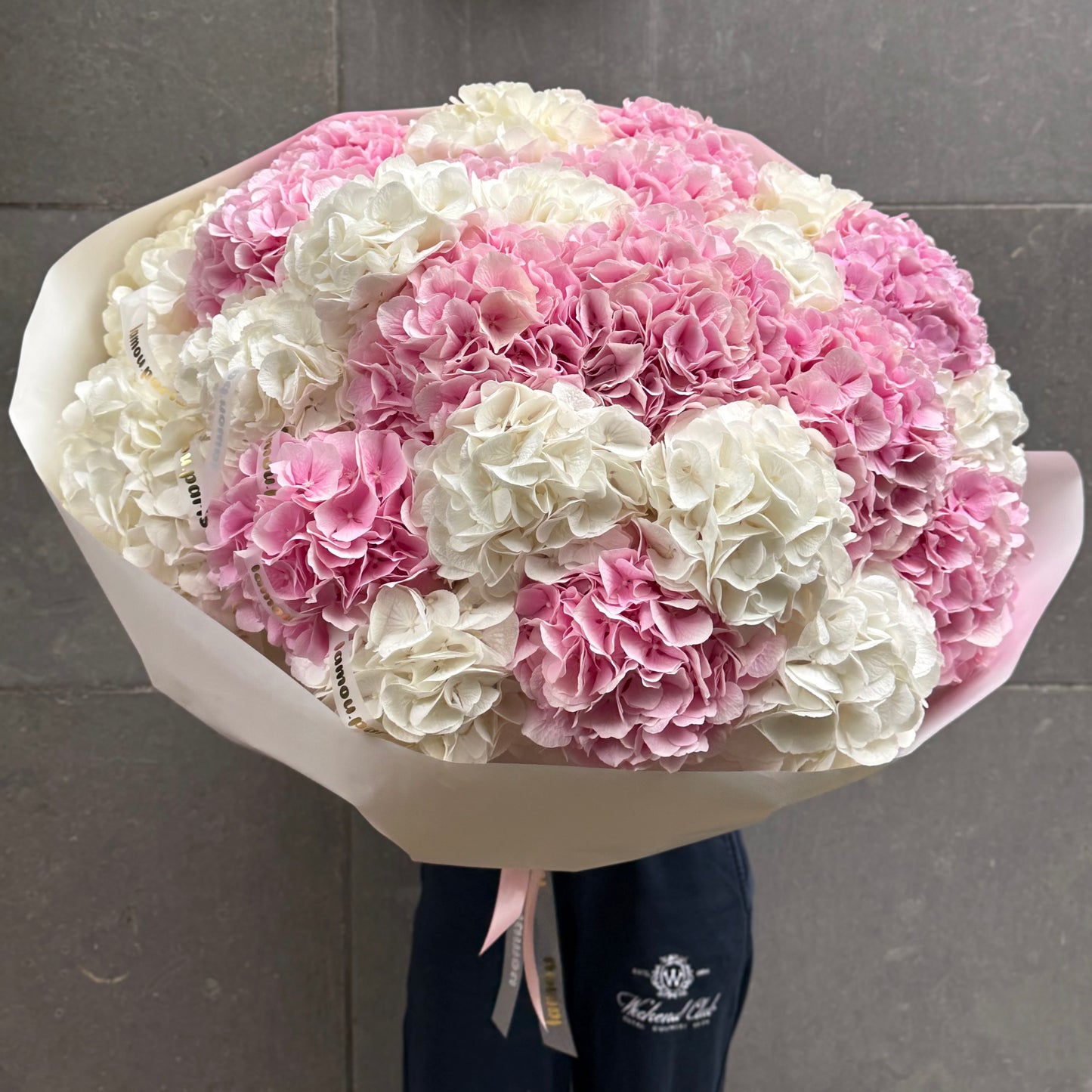 Hydrangeas Heaven