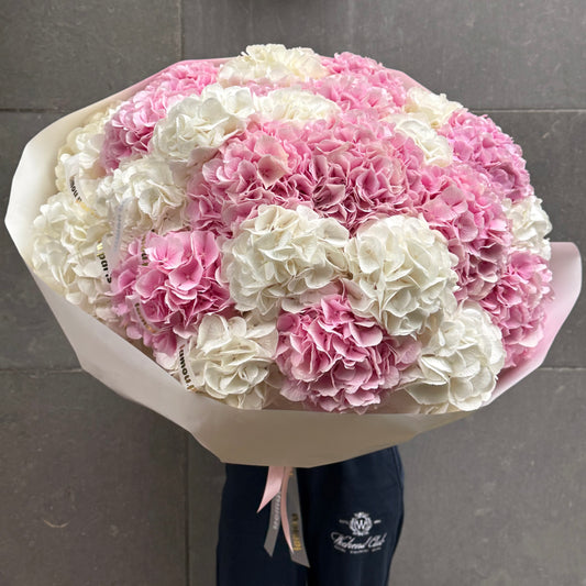 Hydrangeas Heaven