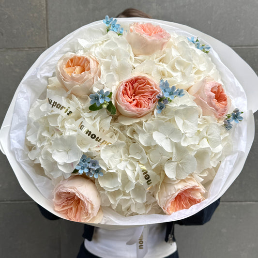 White Hydrangeas x Juliet S