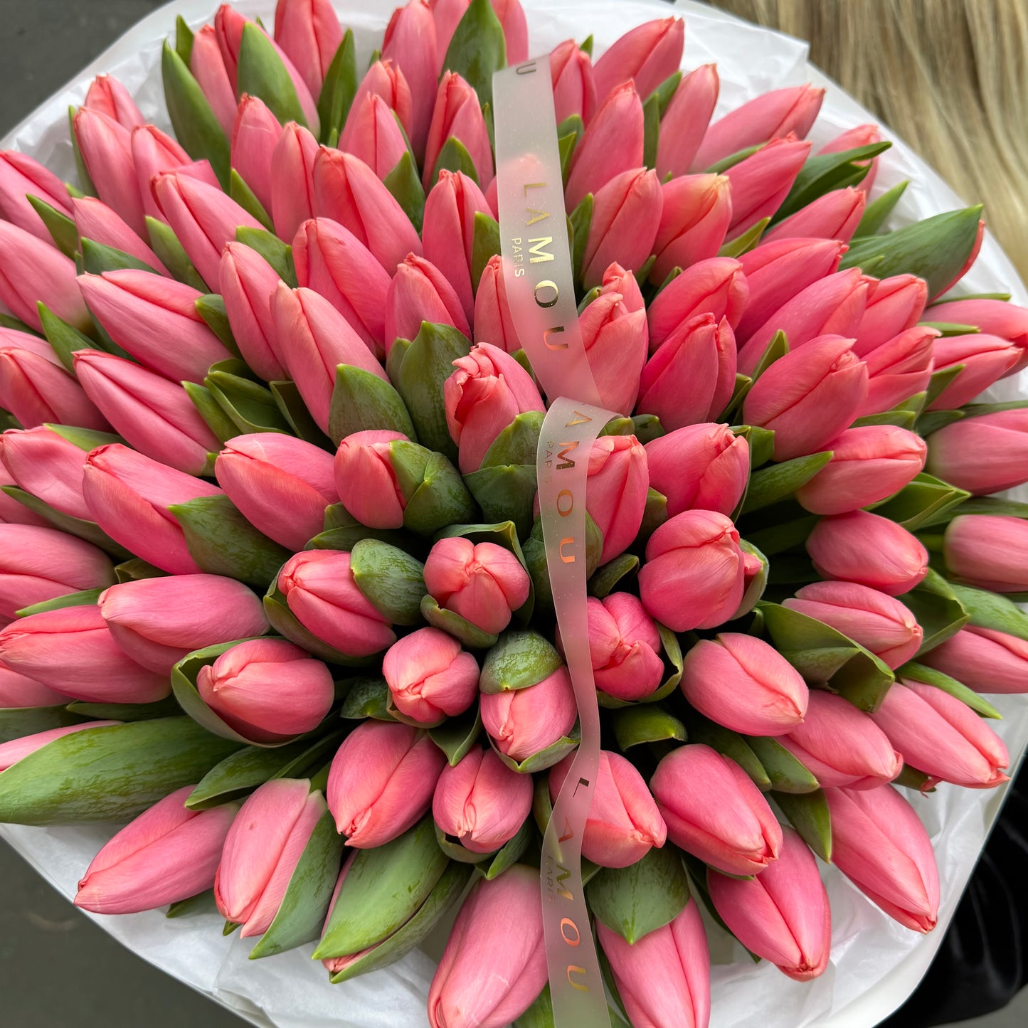 Tulipes roses