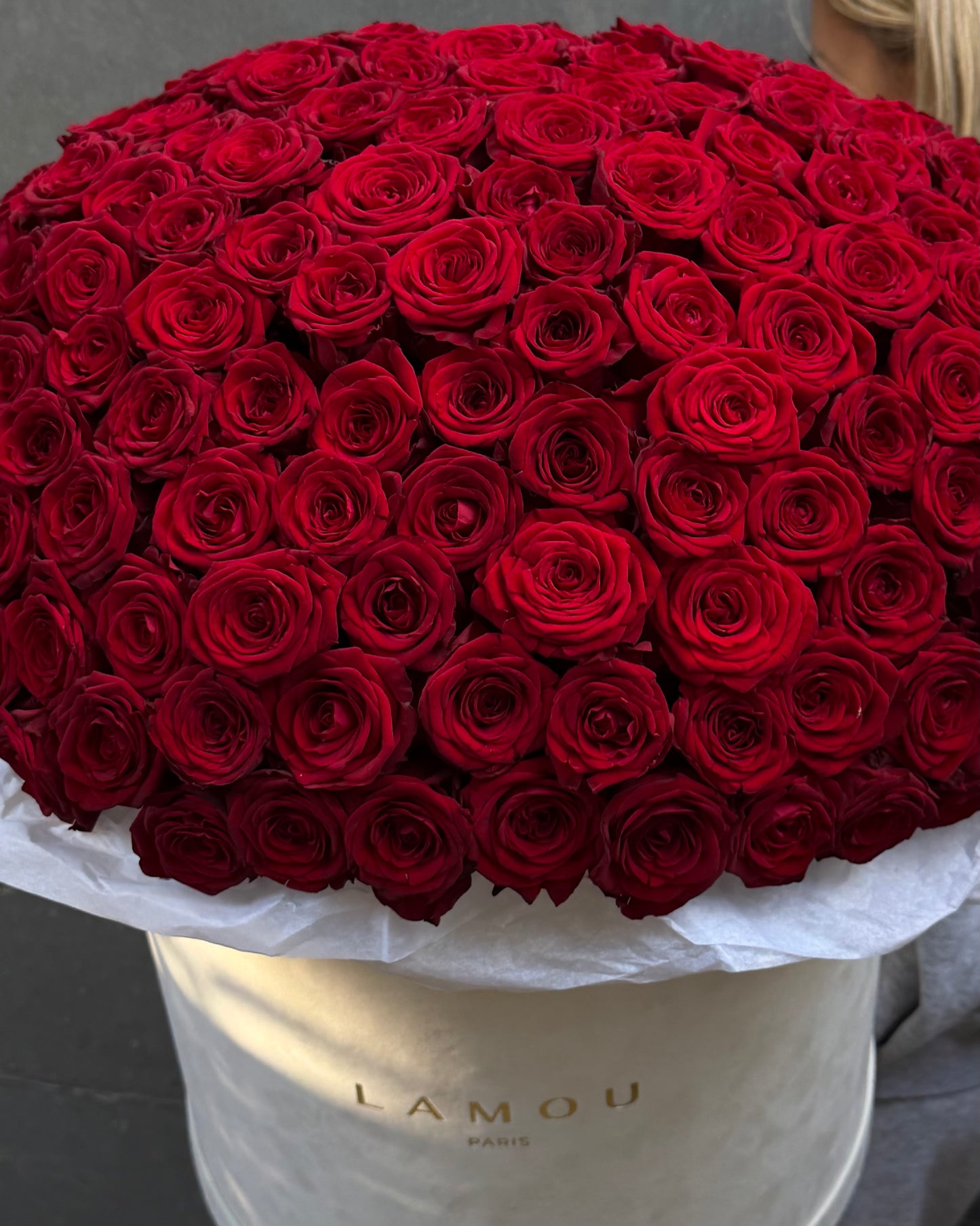 201 Red Roses Box XXL