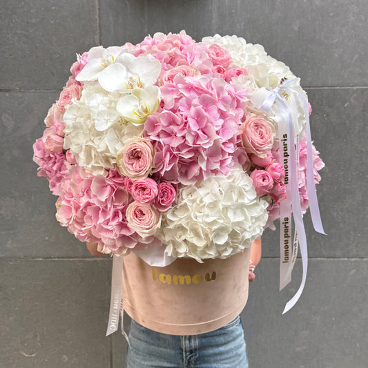 Pink x White in a Box XL