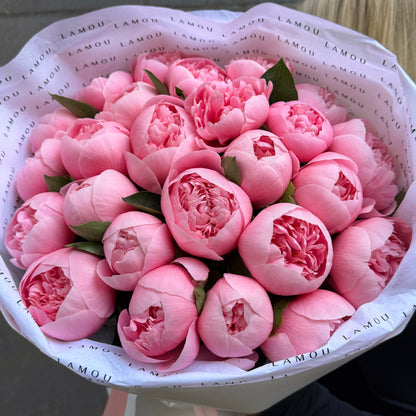 25 Peonies “Etched Salmon”