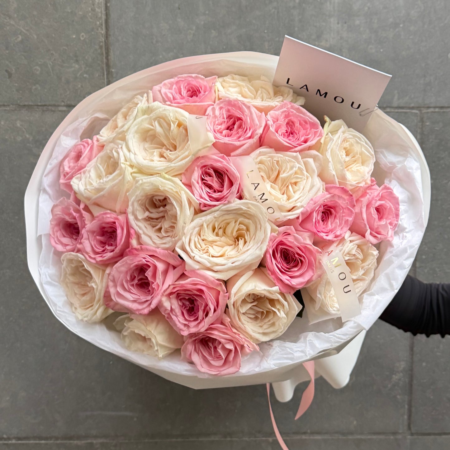 25 Pink & White Peony Roses