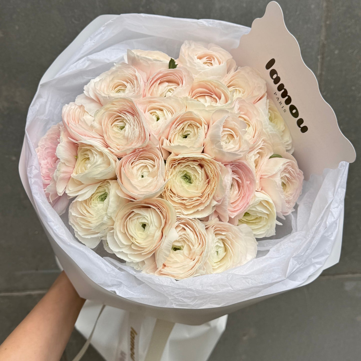 25 renoncules Hanoï