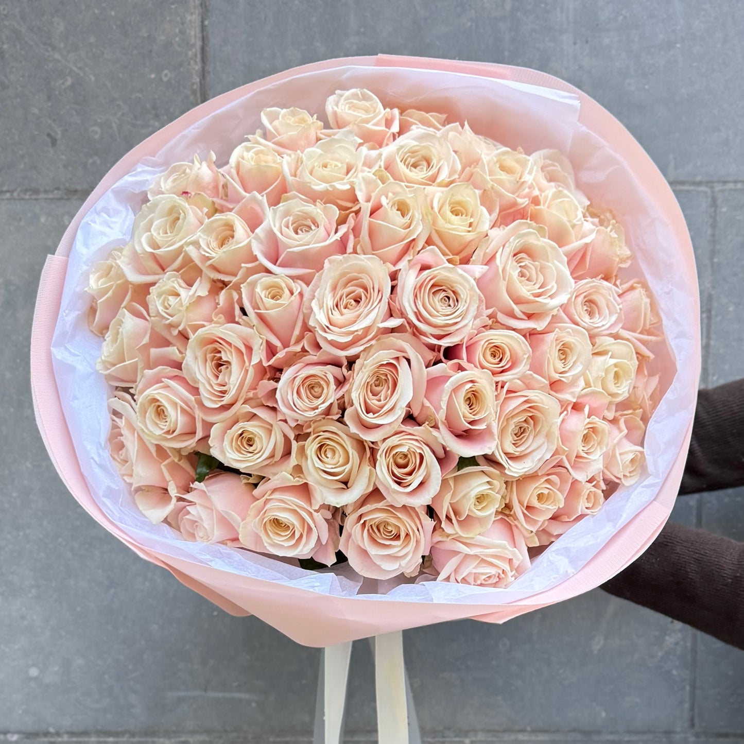 51 Blush Classic Roses