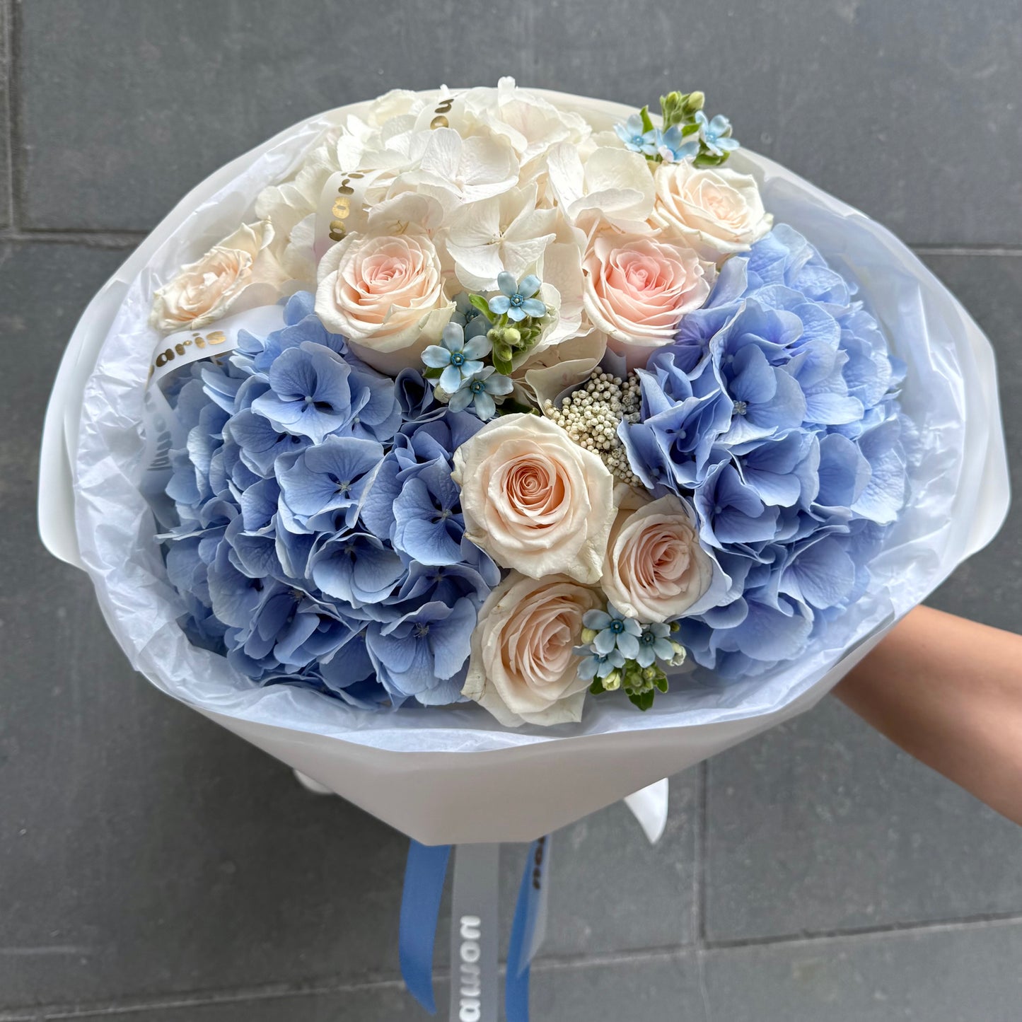 Baby Blue x White