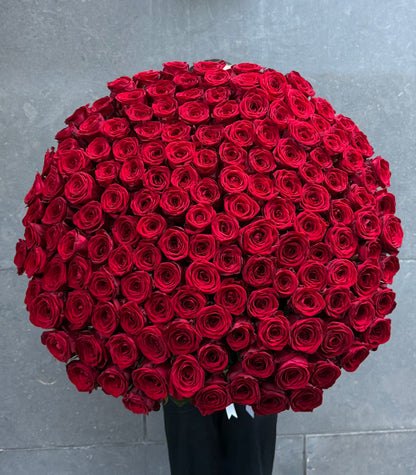 201 Red Roses
