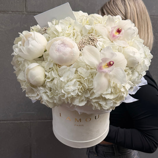 Blush Poésie Box S