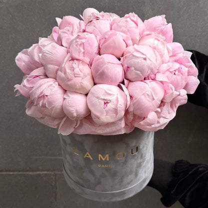 30 Pink Peonies Box M