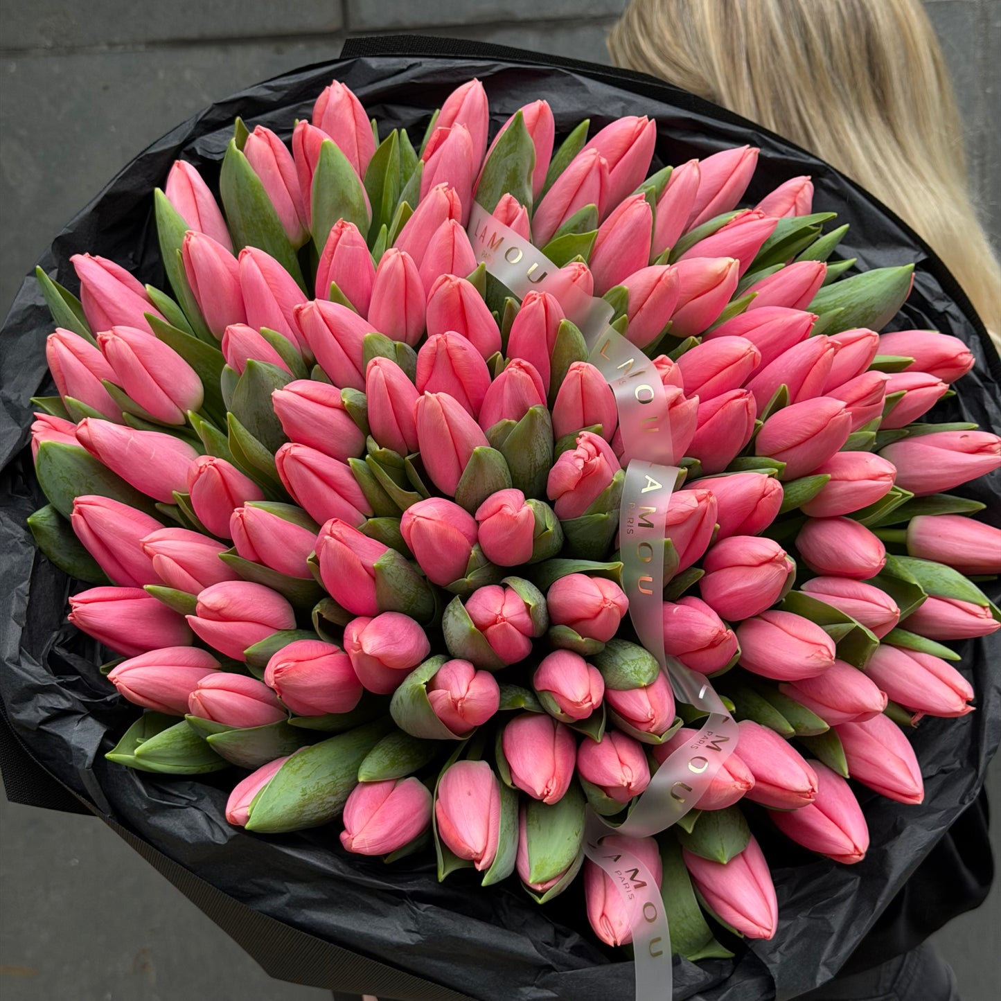 100 Pink Tulip