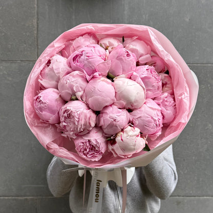 17 Pink Peonies