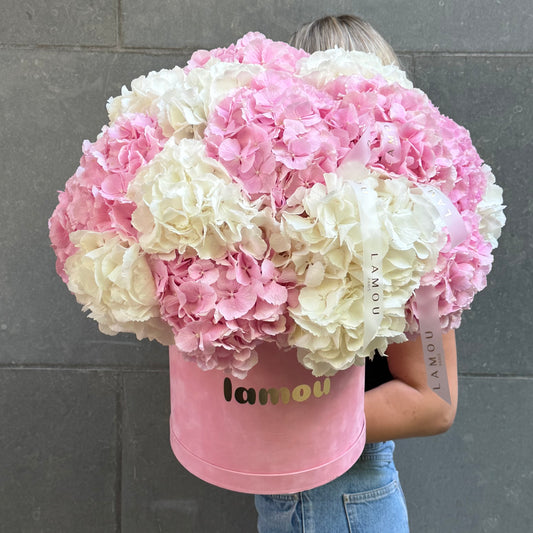 Boîte d'hortensias M