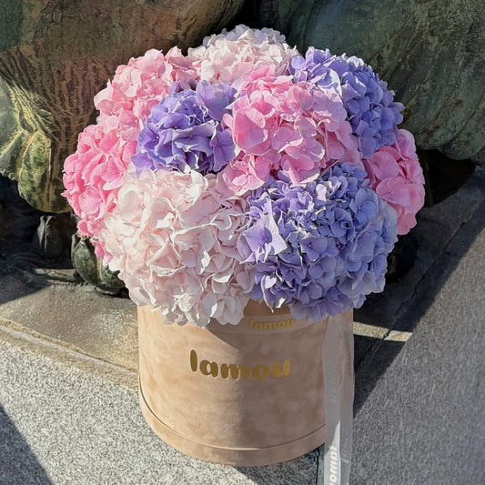 Unicorn Hydrangeas in a Box L